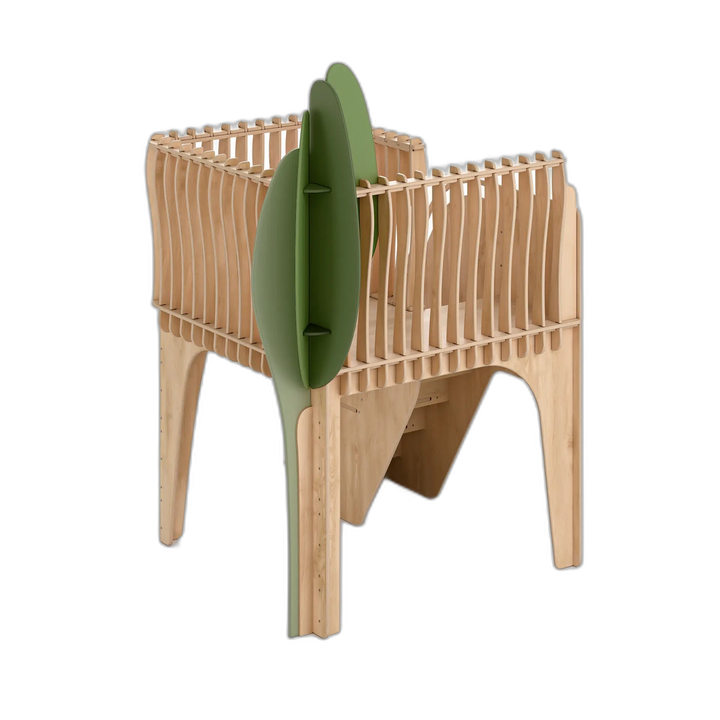 Cupress Tree Loft 5X6 Fern Kids