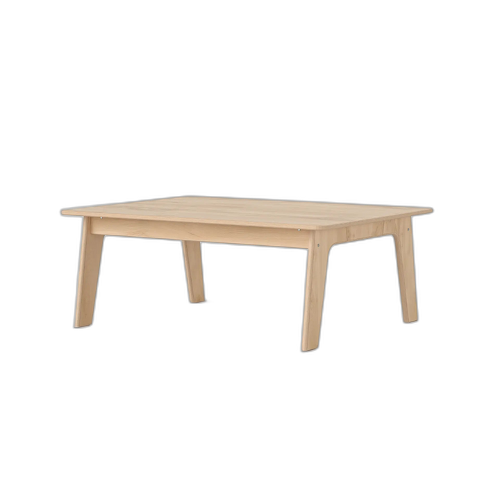 Rectangular Top Mont Table - 48x36 Fern Kids