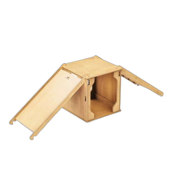 PlayBox - Mountain Top Fern Kids